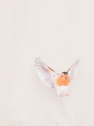 Felpa per bambini Molo beige con stampa cervo - Rubino Kids