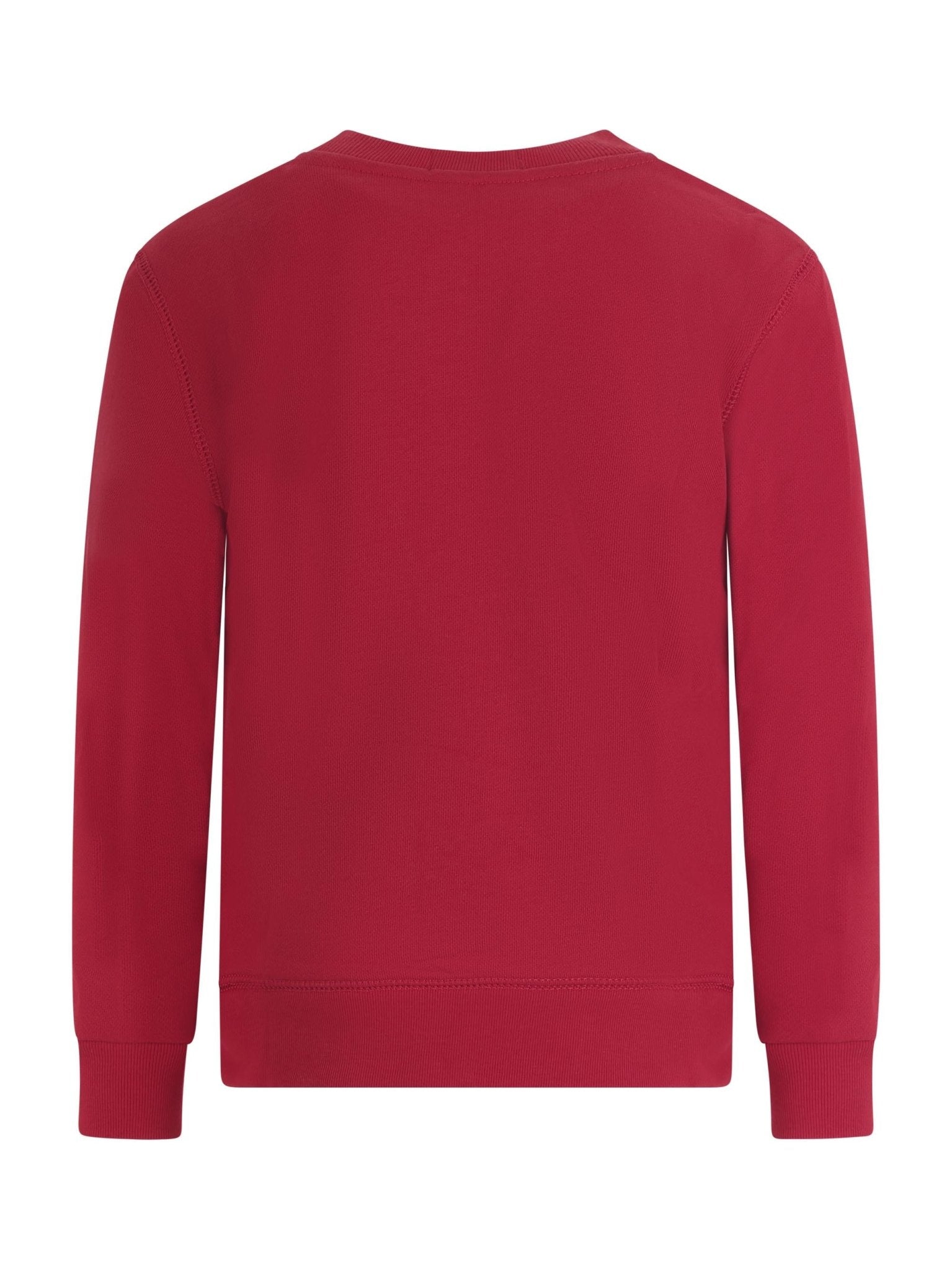 Felpa per bambino Polo Ralph Lauren Kids rossa con stampa Polo Bear - Rubino Kids