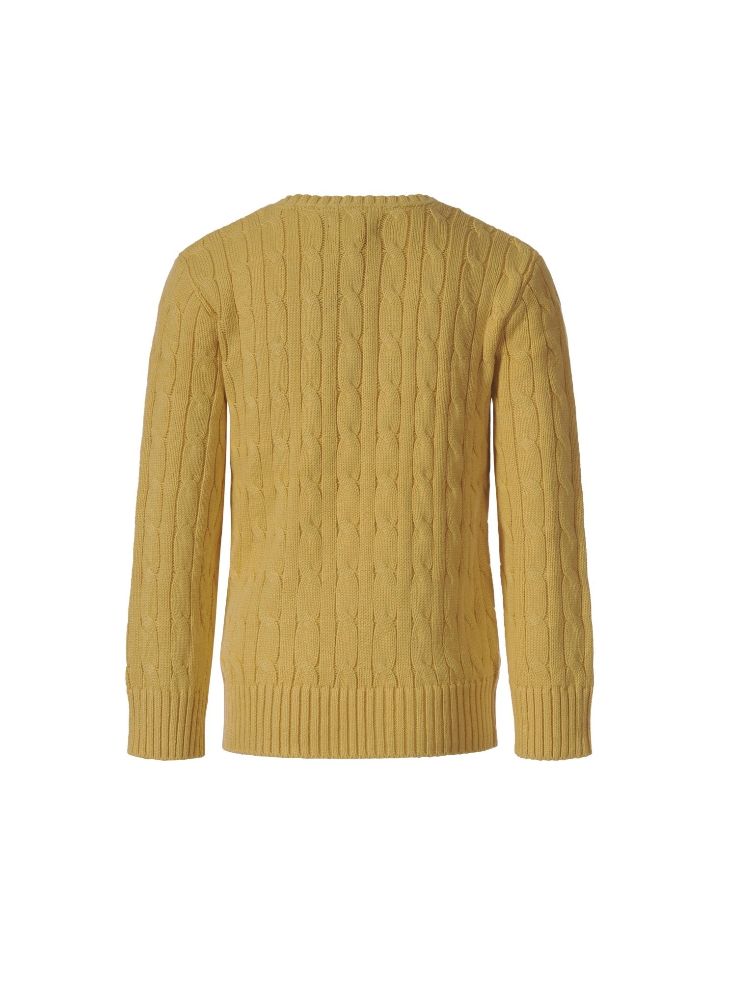 Maglione per bambino Polo Ralph Lauren Kids giallo con ricamo logo Polo Pony sul davanti - Rubino Kids