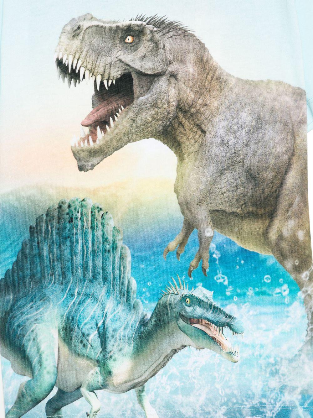 T-shirt per bambino Molo Rame azzurro con stampa grafica - Rubino Kids