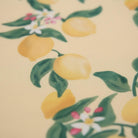 Costume neonata Molo Kids giallo con stampa limoni all - over - Rubino Kids