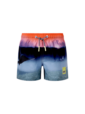 Molo Kids Blue Graphic Print Swimsuit for Boys