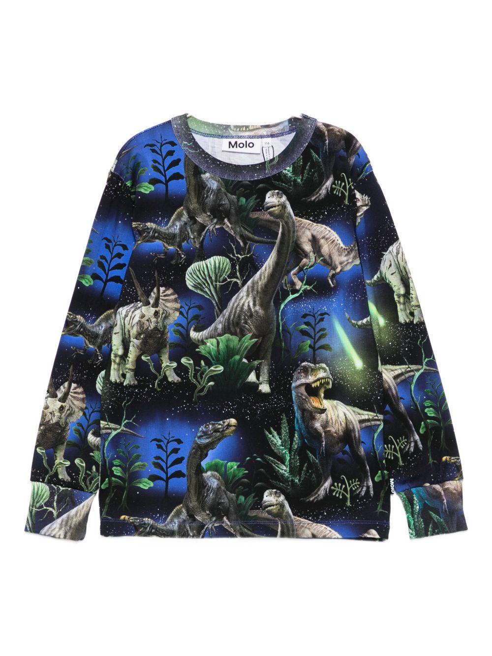 Felpa per bambino Molo blu con stampa dinosauro - Rubino Kids