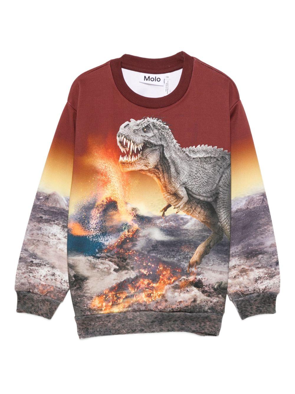 Felpa per bambino Molo multicolore con stampa dinosauro - Rubino Kids