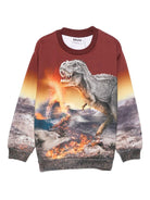 Felpa per bambino Molo multicolore con stampa dinosauro - Rubino Kids