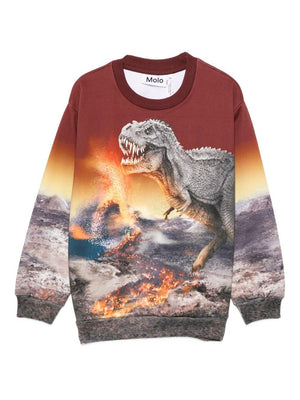 Felpa per bambino Molo multicolore con stampa dinosauro