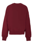 Felpa per bambino MSGM Kids bordeaux con stampa grafica gatto - Rubino Kids