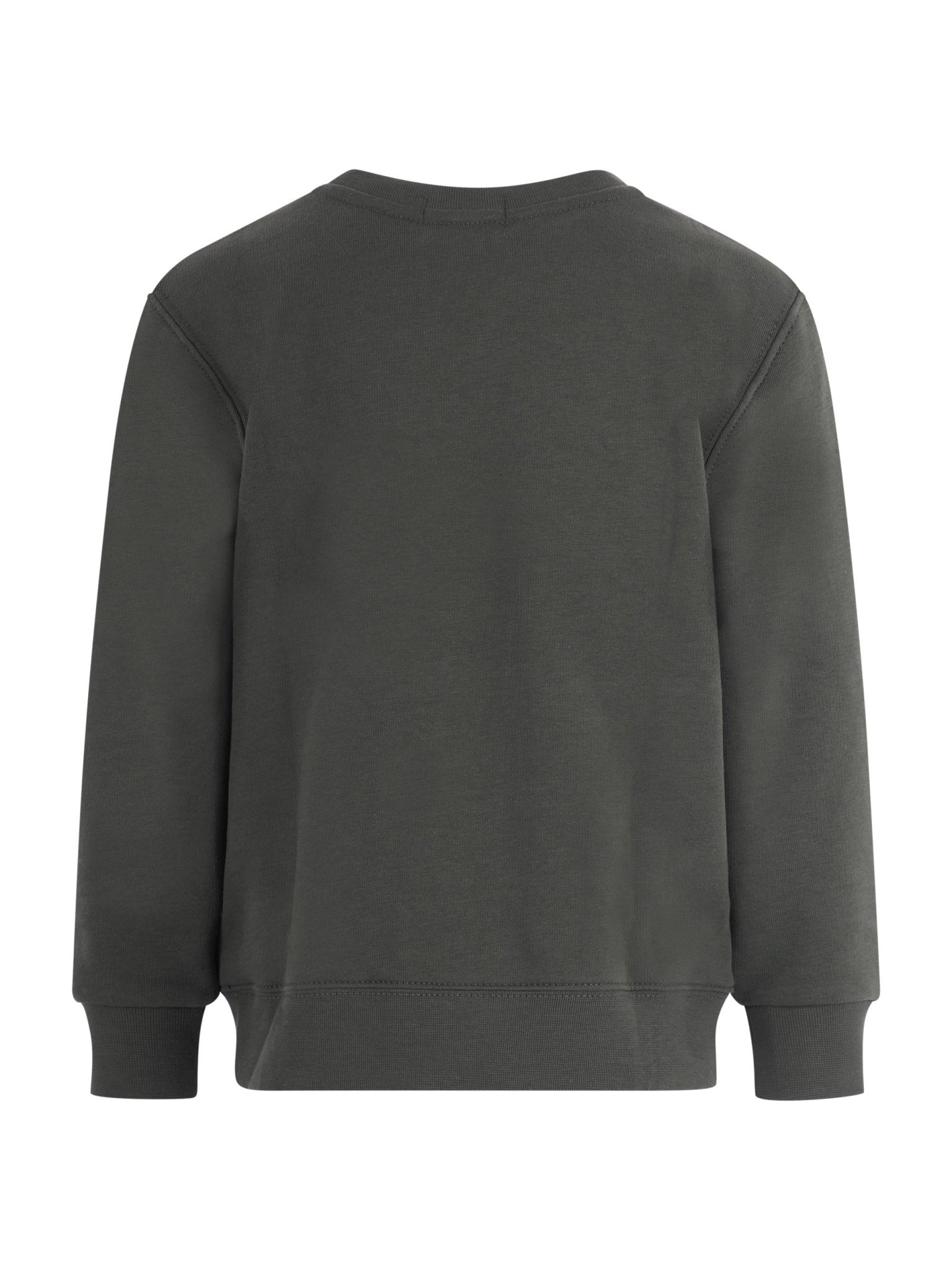 Felpa per bambino Polo Ralph Lauren Kids verde con stampa Polo Bear - Rubino Kids