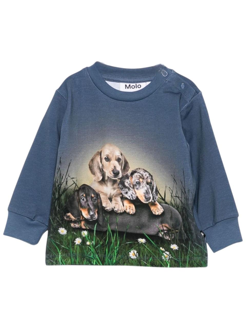 Felpa per neonato Molo blu con stampa cane 6W25A404 9679 MOLO 