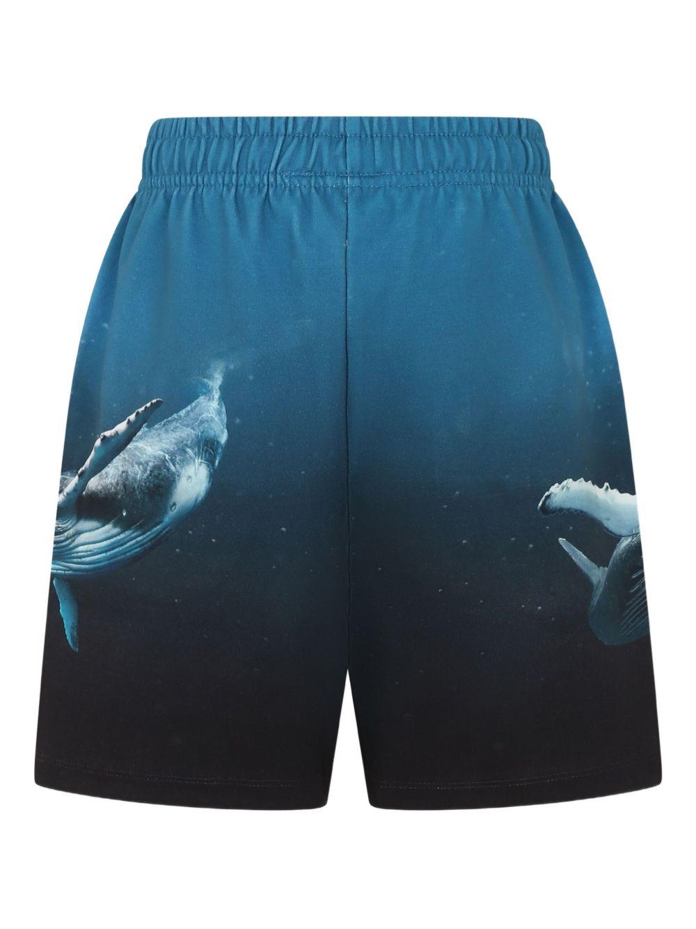 Shorts per bambino Molo blu con stampa grafica 1S25H207 3871 MOLO 