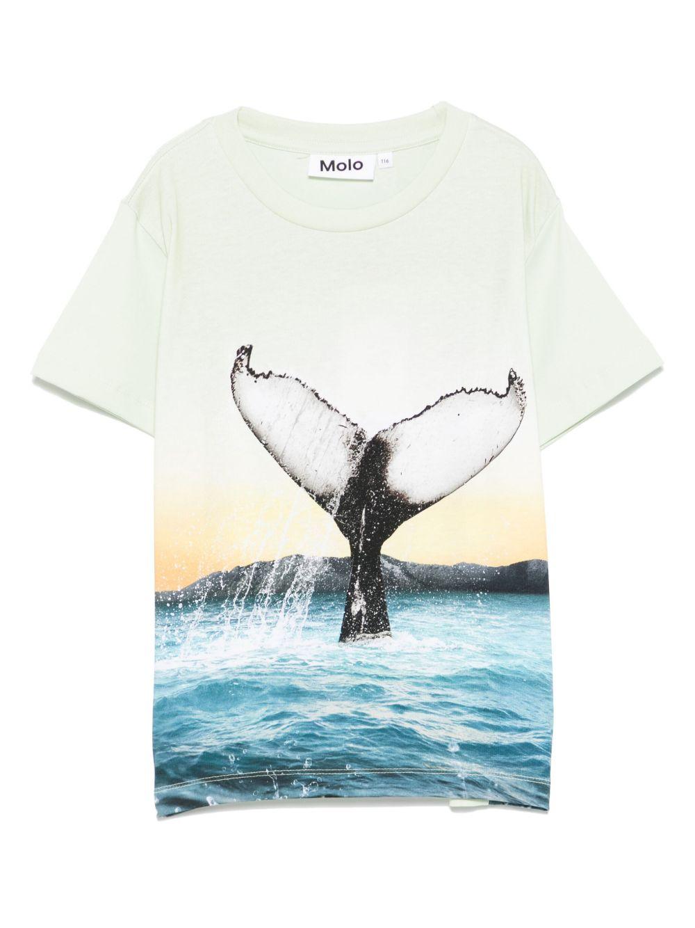 T-shirt per bambino Molo Rame verde con stampa grafica 1S25A212 3869 MOLO 