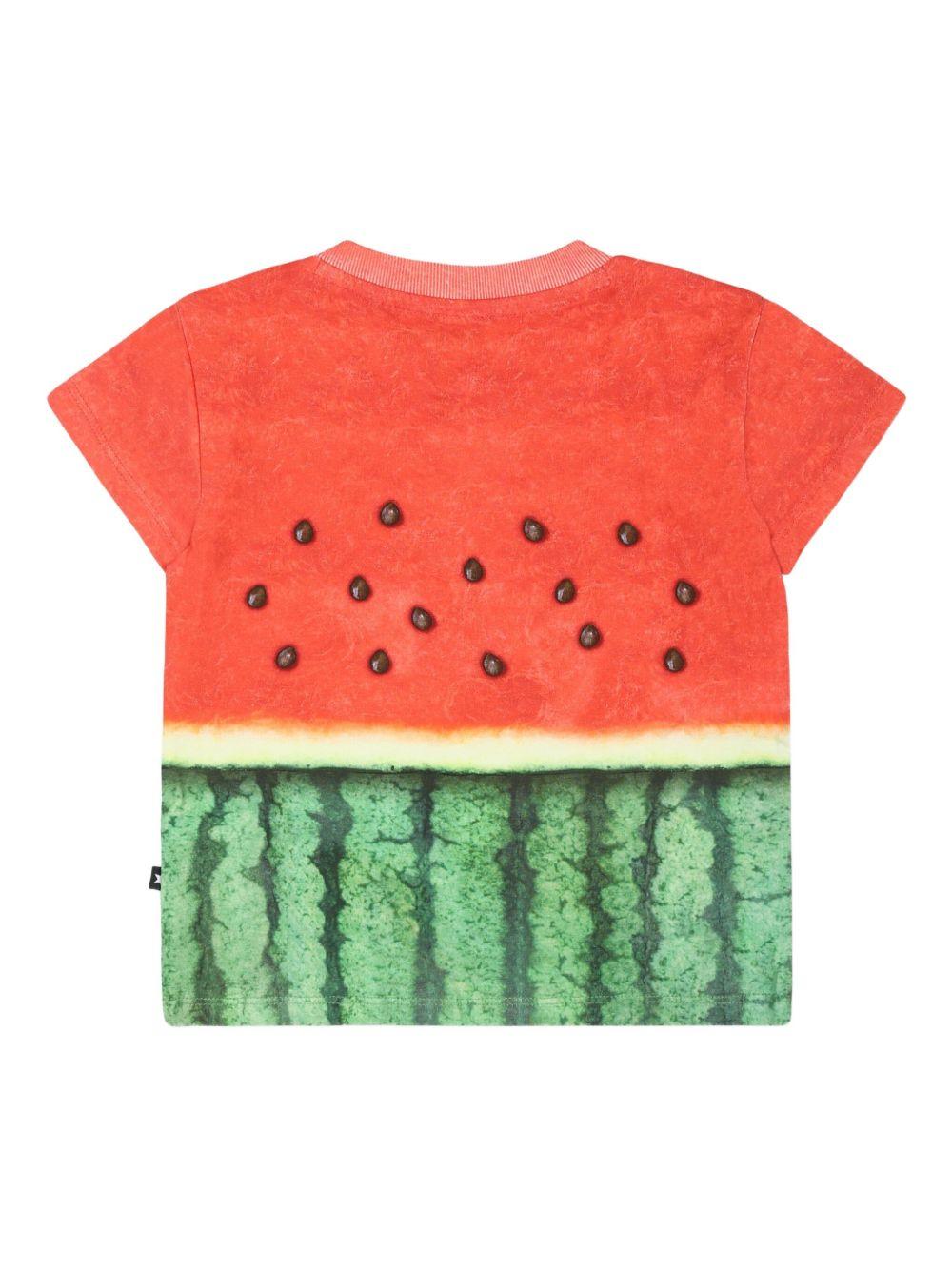 T-shirt per neonato Molo mutlicolore con stampa frutta 6S25A202 9341 MOLO 