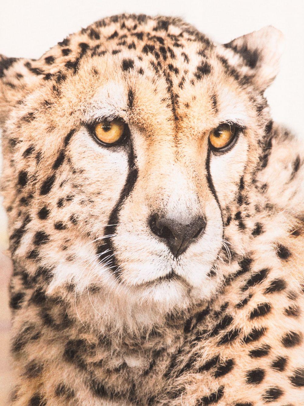 T-shirt per bambino Molo Rollo beige con stampa ghepardo - Rubino Kids