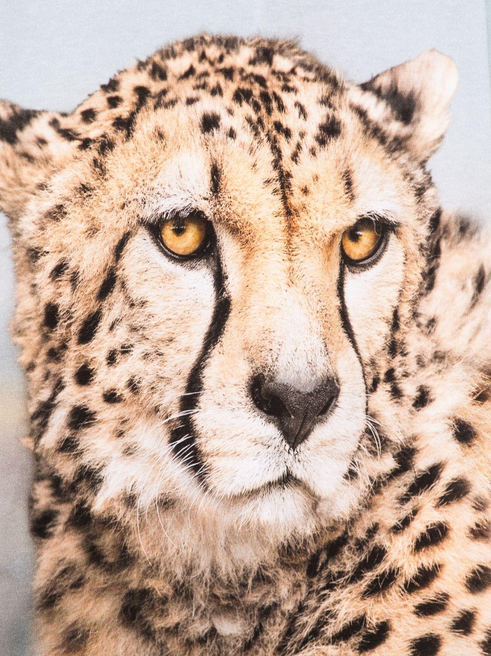 T-shirt per bambino Molo Rubin azzurro con stampa ghepardo - Rubino Kids