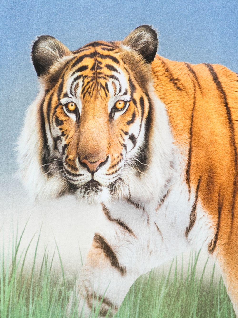 T-shirt Rubin per bambino Molo multicolor con stampa tigre - Rubino Kids